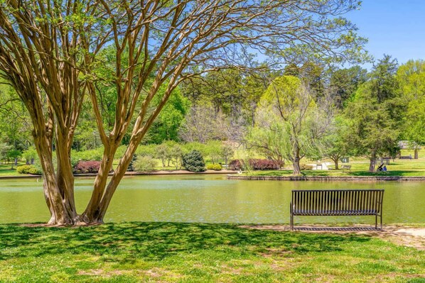 A park with a pond, a bench, and various trees.