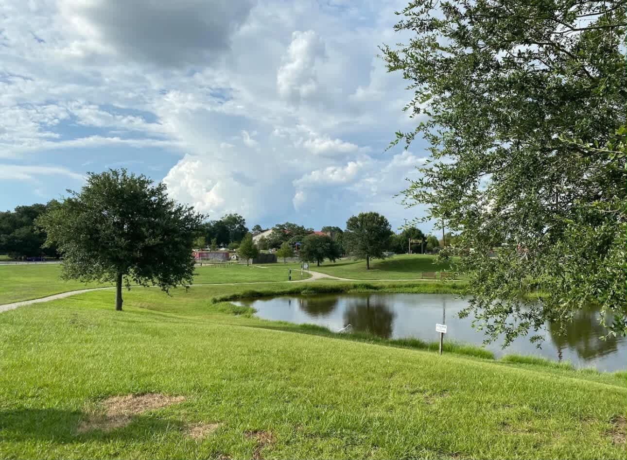 A grassy area with a pond, trees, and a clear sky.