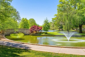 A park with a stone bridge, a pond with a fountain, and trees. - Modern Myers Park 1BR · Ground Floor · Free Parking · near Atrium CMC & Uptown (Charlotte)