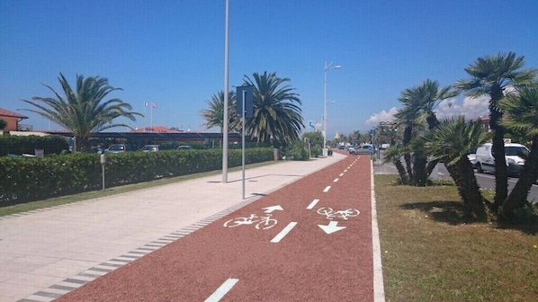 Bicycling - Vi Place (Lido di Camaiore)