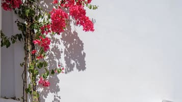 Suite superior - 1 planta | Terassi/patio