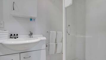 Hair dryer, towels, soap, shampoo