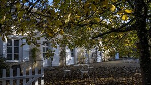 A courtyard with a white building, a white picket fence, and metal chairs.