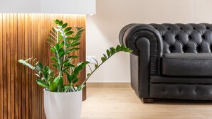 Una planta en maceta de cerámica blanca texturizada, un sofá de cuero negro y un revestimiento de pared de madera.