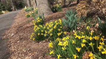 Overnattingsstedets uteområder