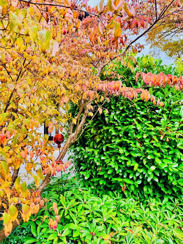 المنطقة المحيطة بالمنشأة