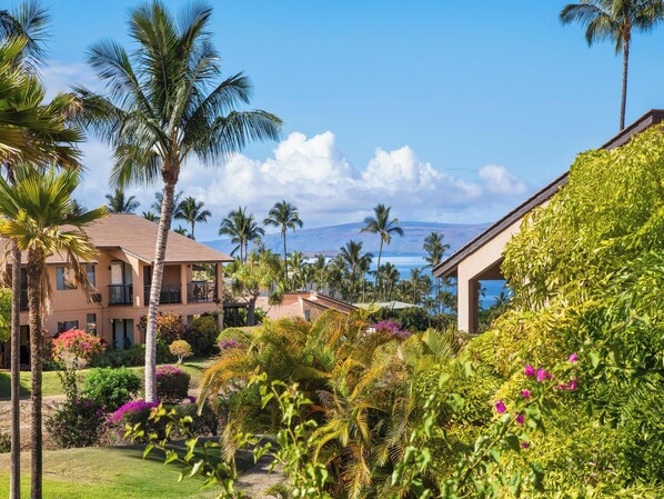 Terrain de l’hébergement 