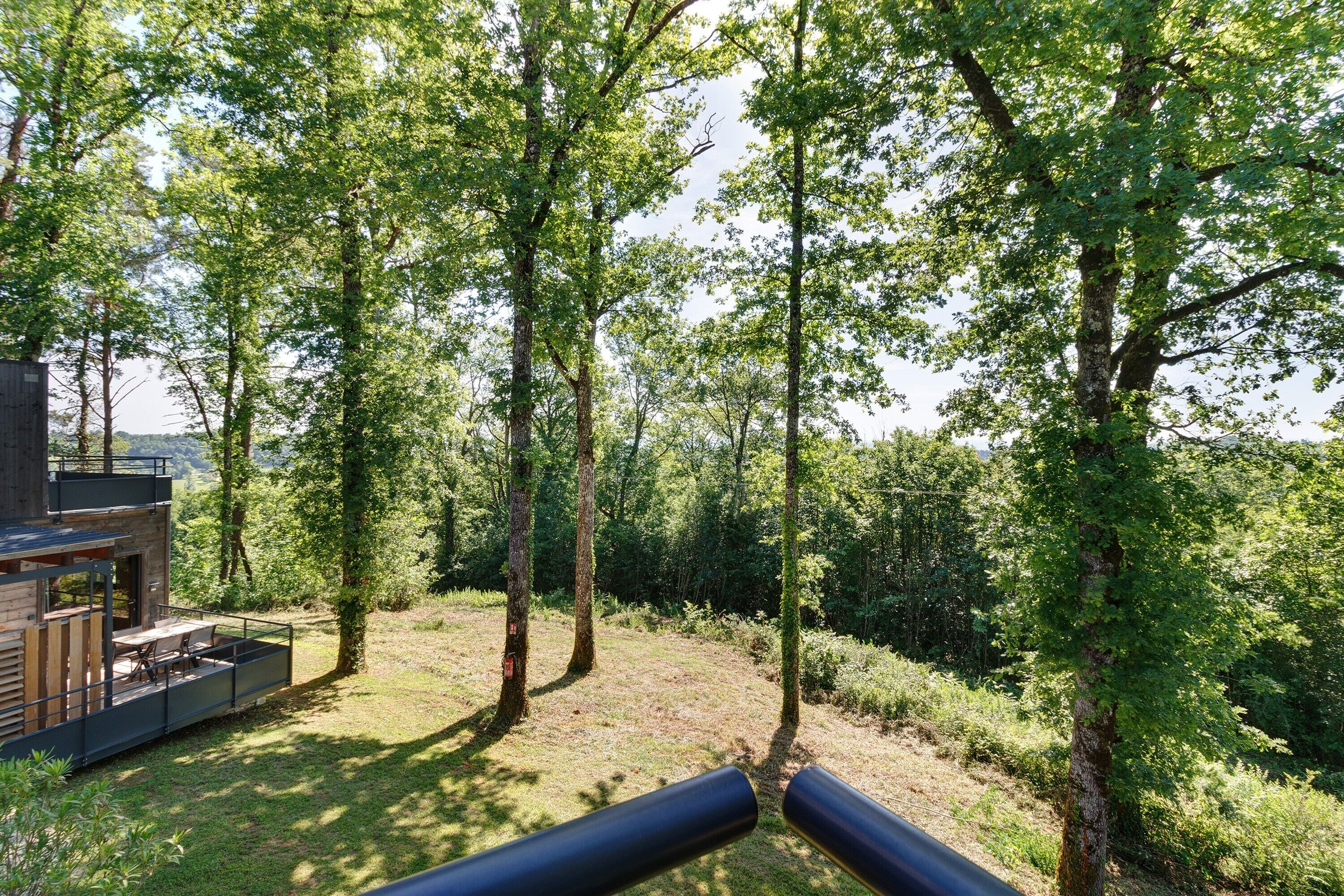Eine moderne Holz-Blockhütte mit einer Terrasse und Sitzgelegenheiten im Freien, umgeben von hohen Bäumen und einer Rasenfläche.