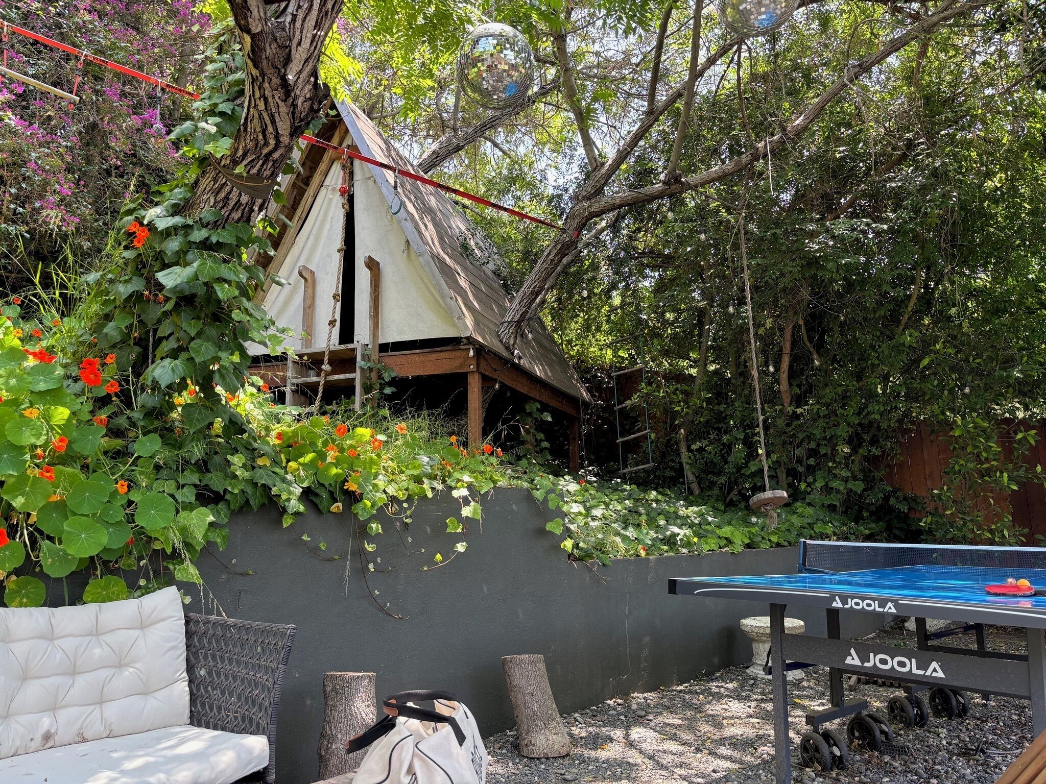 المنطقة المحيطة بالمنشأة