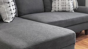 A grey sectional sofa with two decorative pillows, one with a black and white pattern and the other with vertical lines. - Exquisite 1st Floor One Bedroom in Historic Marble Hill w/ Modern Amenities (Baltimore)
