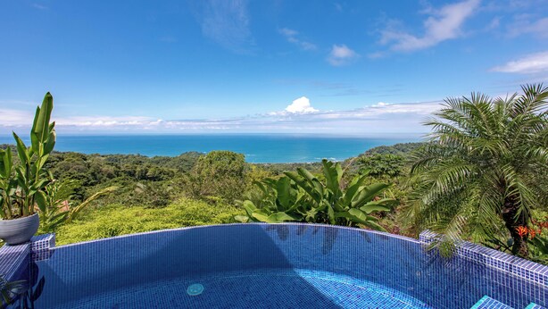An infinity pool with a view of the ocean and lush greenery. - Breathtaking views on the pacific ocean - inifnity edge pool (Dominicalito)