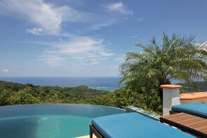 Pool - Breathtaking views on the pacific ocean - inifnity edge pool (Dominicalito)