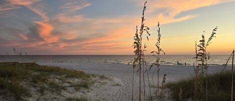 Chaises longues, serviettes de plage