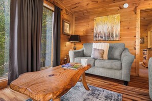 Smart TV, fireplace, video games, DVD player