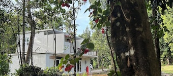 Arcadia
Lose the crowd and unplug to a 70 acre rainforest retreat.