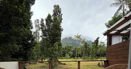 Arcadia
Lose the crowd and unplug to a 70 acre rainforest retreat.