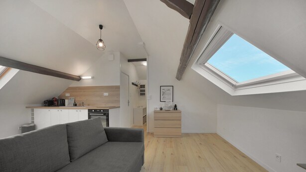 Een modern loft appartement met een grijze bank, houten vloeren, een kitchenette en een dakraam.