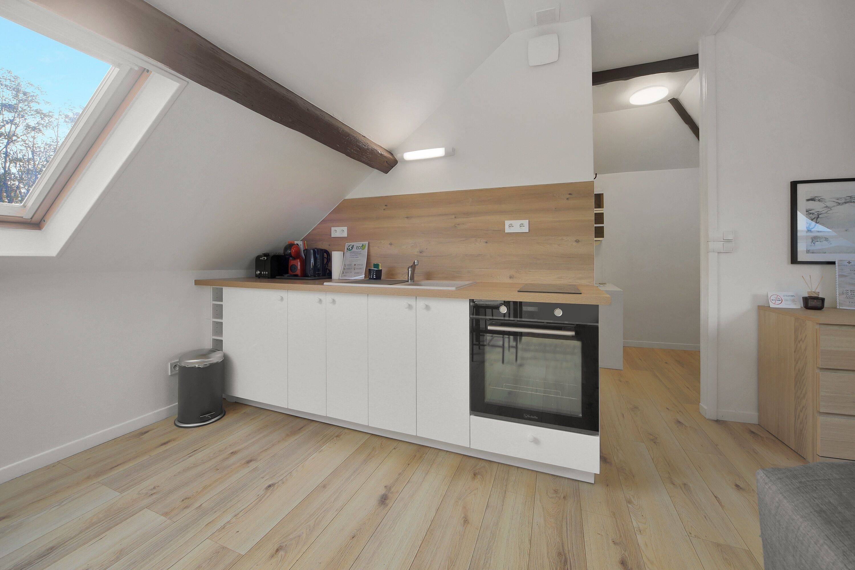 Fridge, microwave, oven, coffee/tea maker