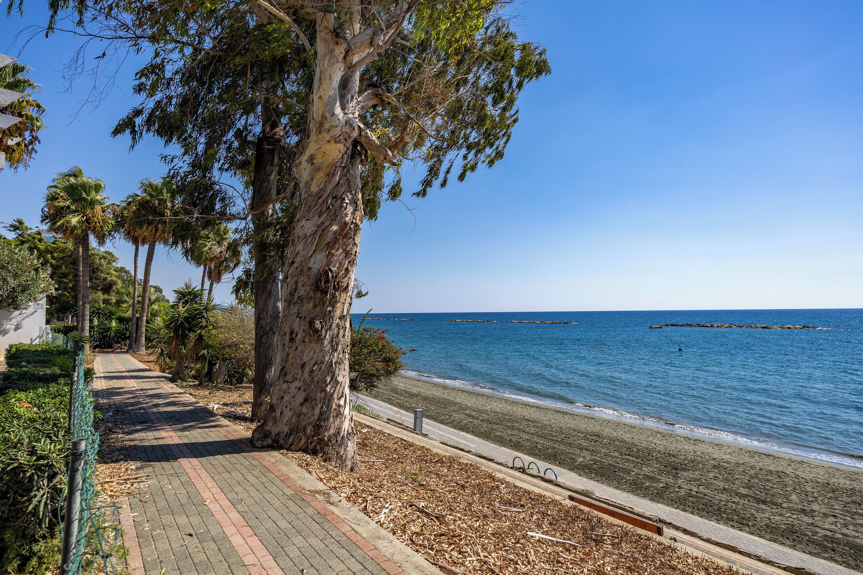 A coastal walkway with a paved path, trees, and a view of the sea.