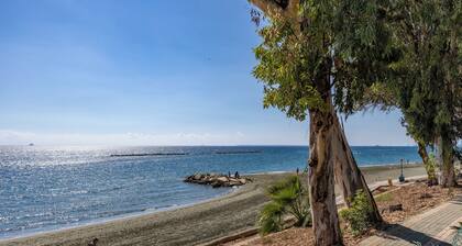 Berengaria Court - Sea Views 2bdr Apartment