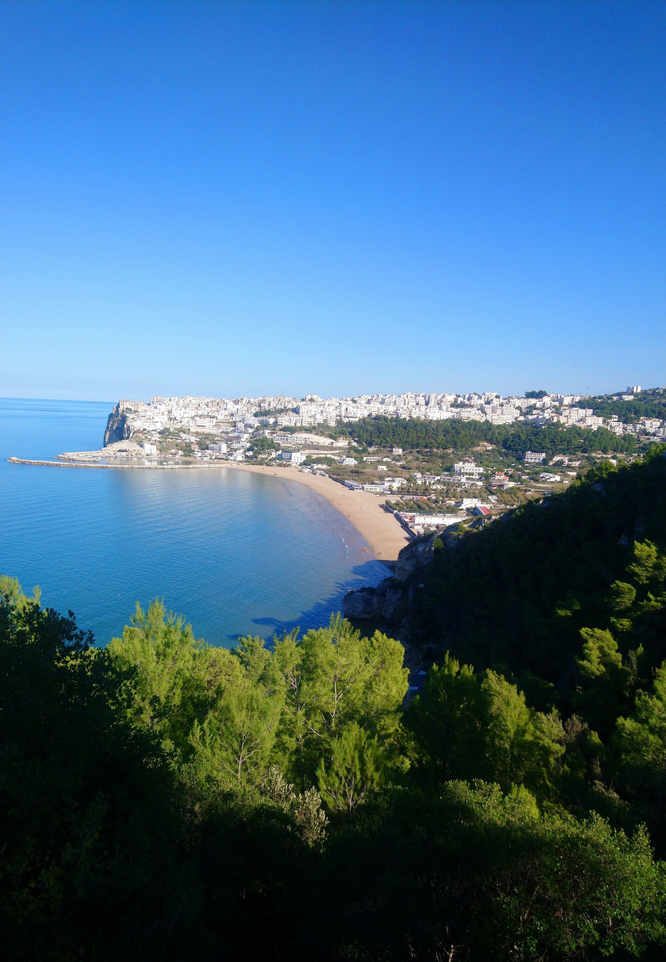 A coastal cityscape with a beach, buildings, and greenery.
