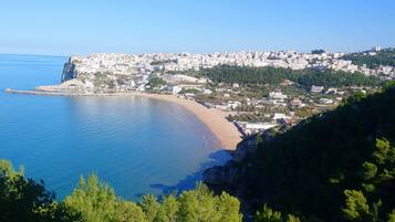 A coastal cityscape with a beach, buildings, and greenery.
