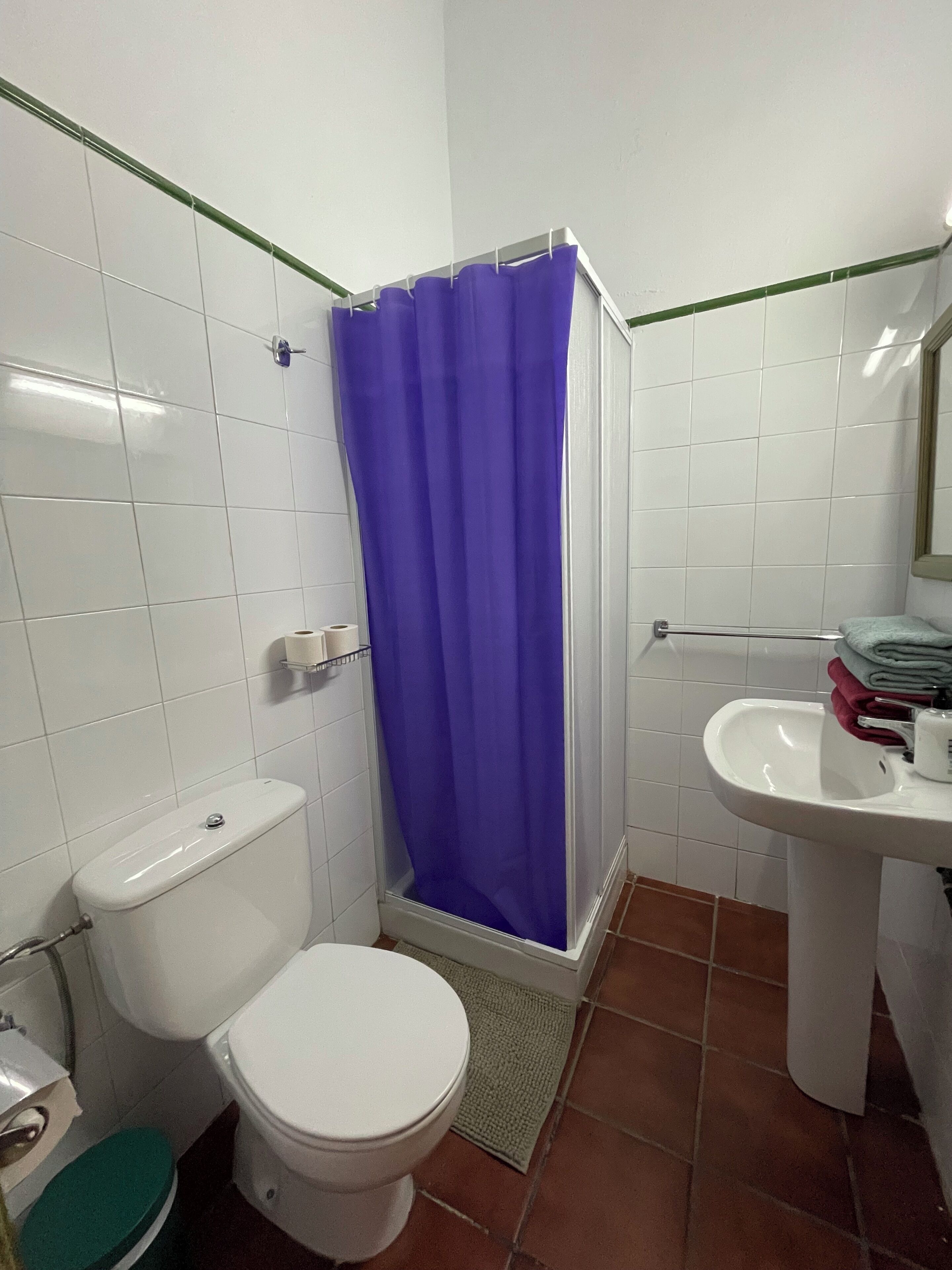 Un baño con inodoro blanco, ducha con cortina morada, lavamanos con espejo y cubo de basura verde.