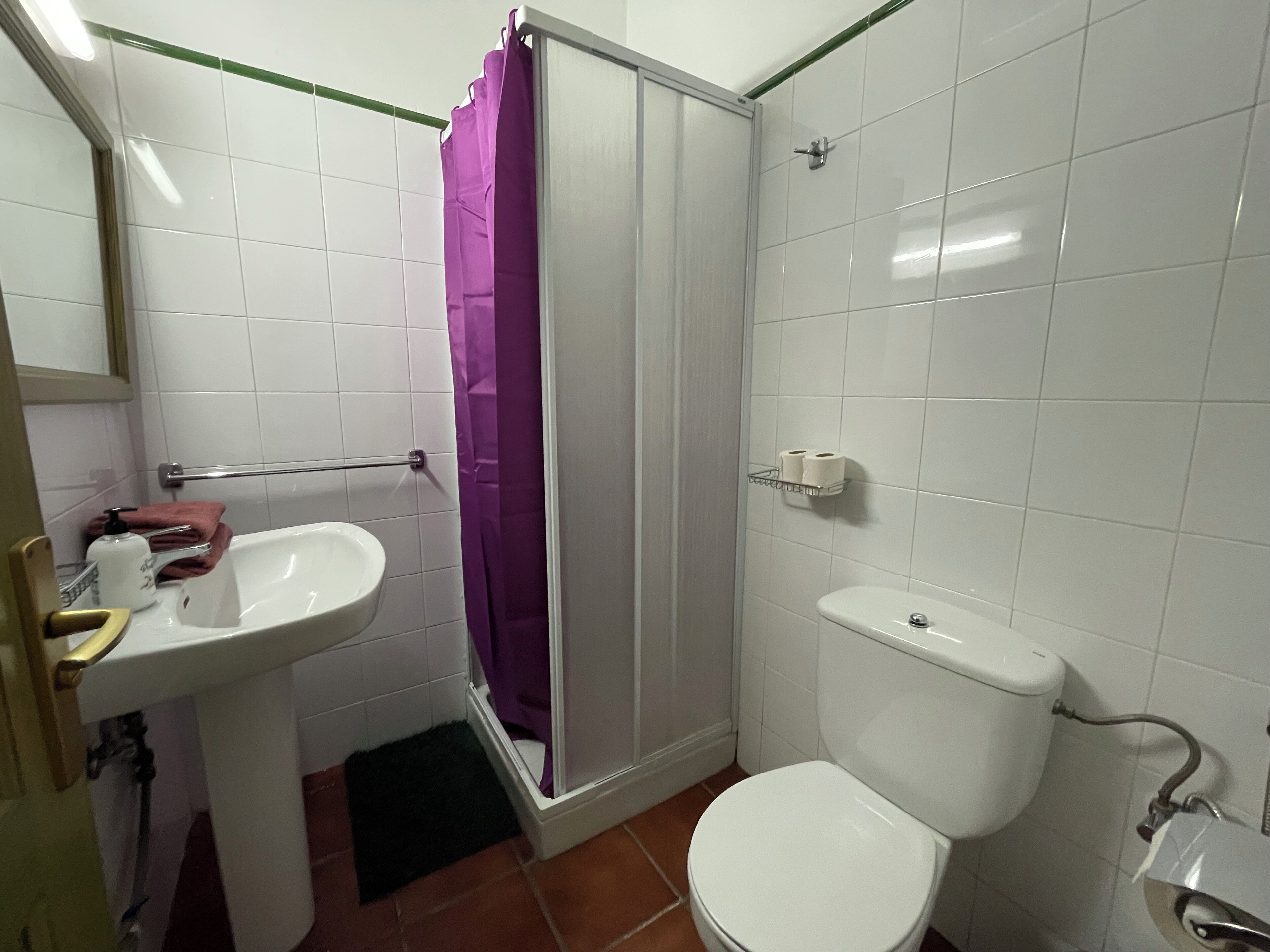 A bathroom with a white sink, toilet, and shower with a purple curtain.