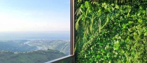 Soap, shampoo, toilet paper