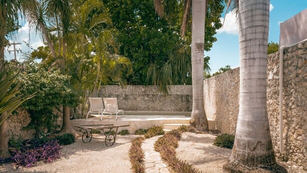 A garden with a stone wall, palm trees, and a seating area with a table and chairs. - Casa Kiiwik - Luxury Property with a Private Outdoor Pool and Parking in Central Merida (Mérida)