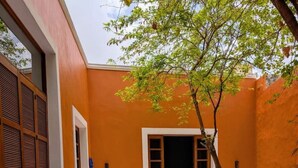 A swimming pool with a tiled deck, a wooden door, and a tree in the background. - Casa Axuul - Colonial Property in Central Merida (Merida)