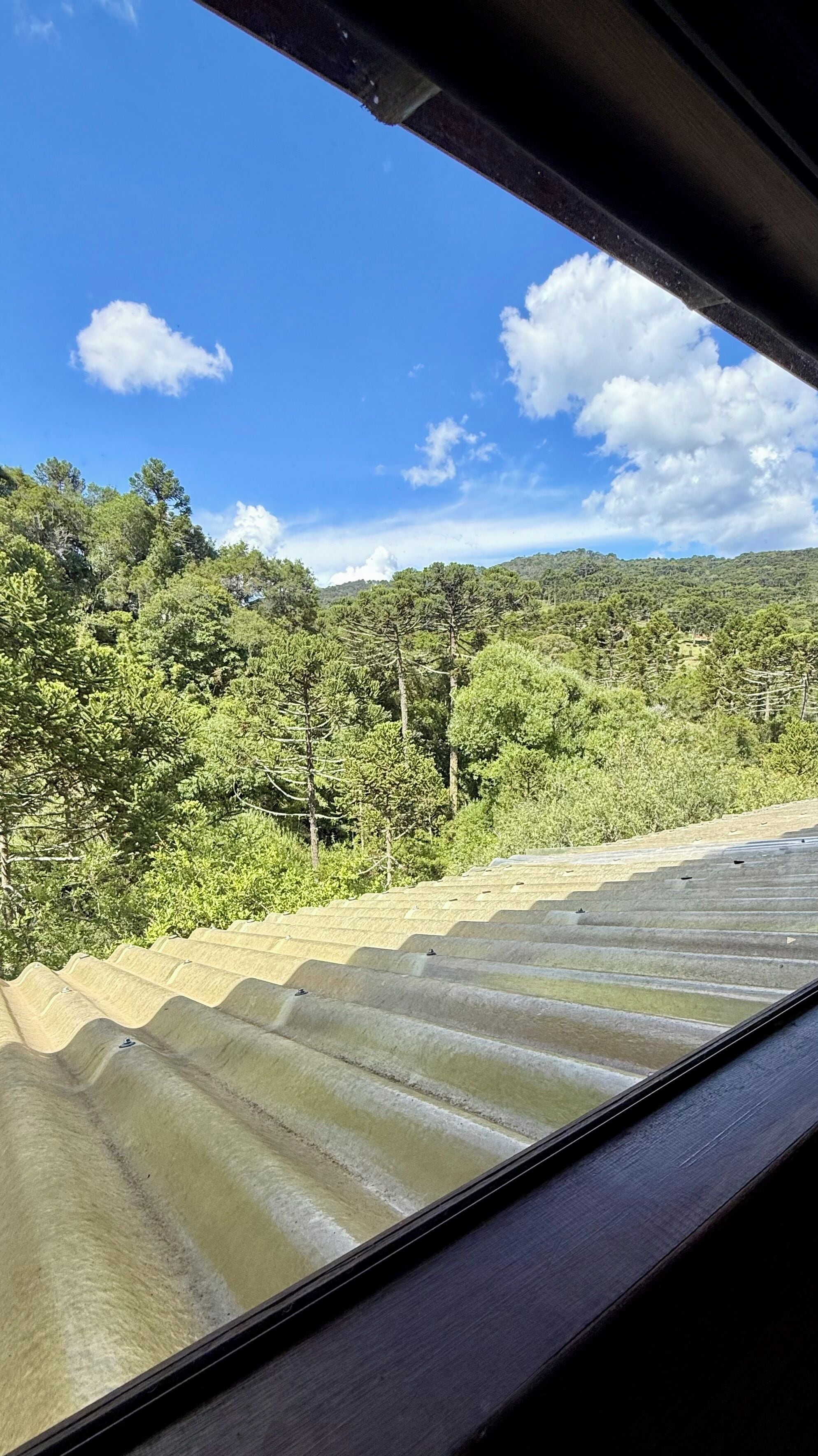 A view from inside a vehicle, looking out at a road with a metal guardrail and a forested hillside.