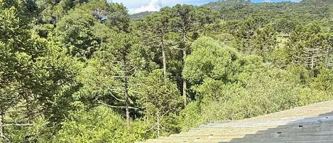 A view from inside a vehicle, looking out at a road with a metal guardrail and a forested hillside.