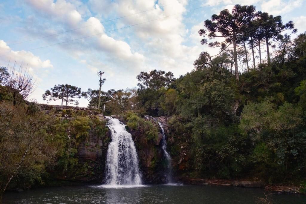 Une cascade se jetant dans un bassin entouré d’une forêt dense et d’arbres imposants.