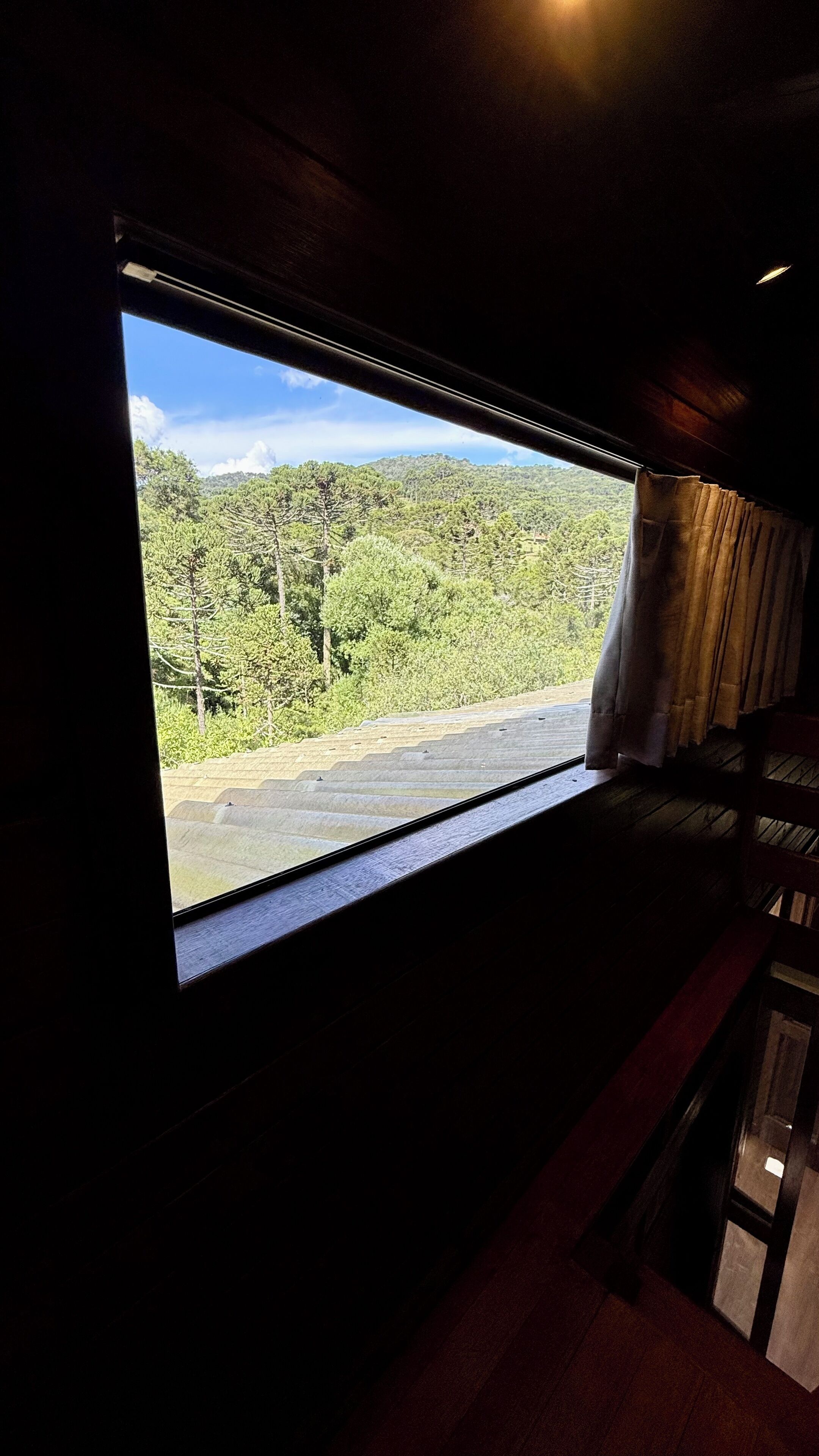 A window with a view of a forested landscape.
