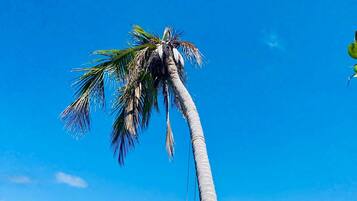 On the beach, beach towels