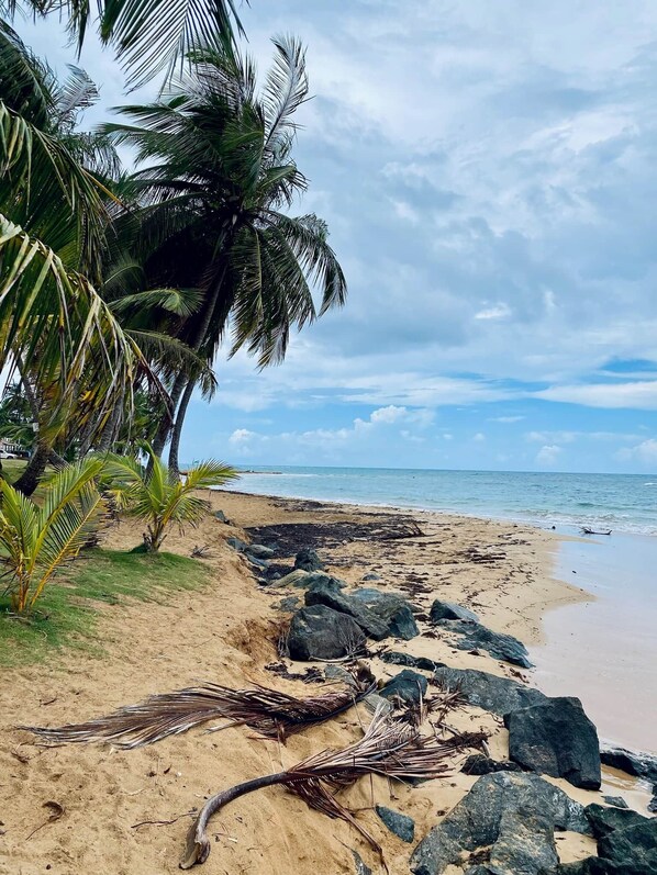 En la playa y toallas de playa 