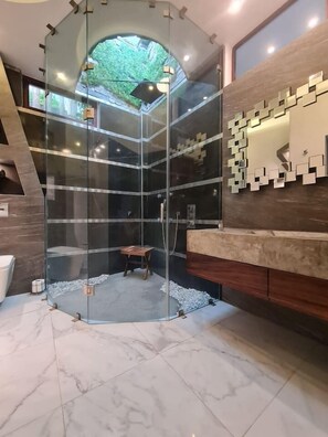 Shower, hair dryer, towels