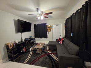 Smart TV, fireplace, video games, books