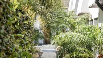 Terrein van de accommodatie