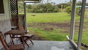 Un patio al aire libre con suelo de hormigón, sillas de madera y una mesa. Se observa un campo cubierto de césped y árboles al fondo.