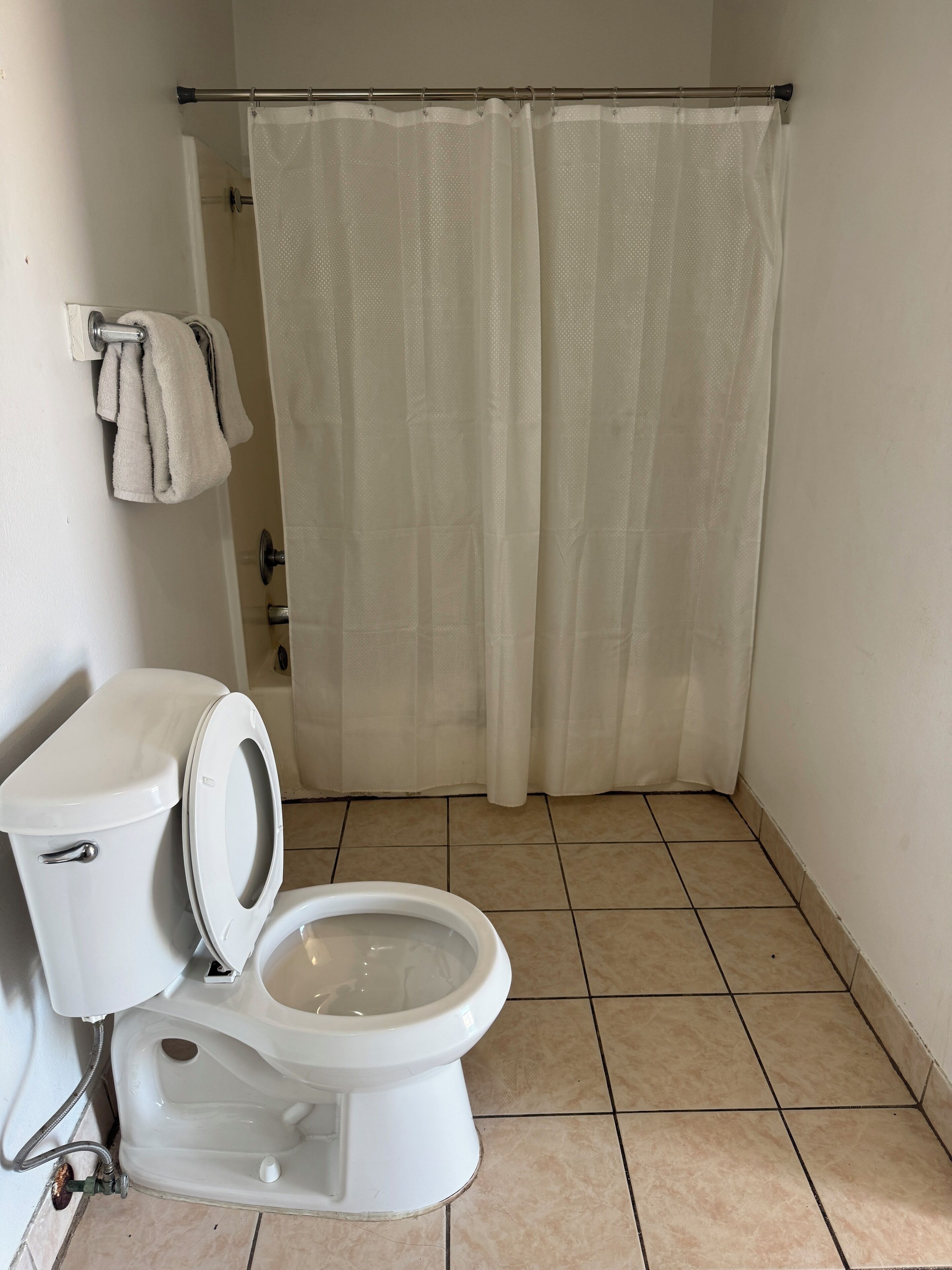 Shower, soap, shampoo, toilet paper