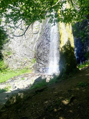 Miscellaneous - Le petit coin Auvergnat - Maisou 1 (MONT DORE)