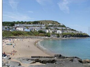 Beach nearby - Quay West Holiday Park - Holiday Accommodation 19725 (New Quay)