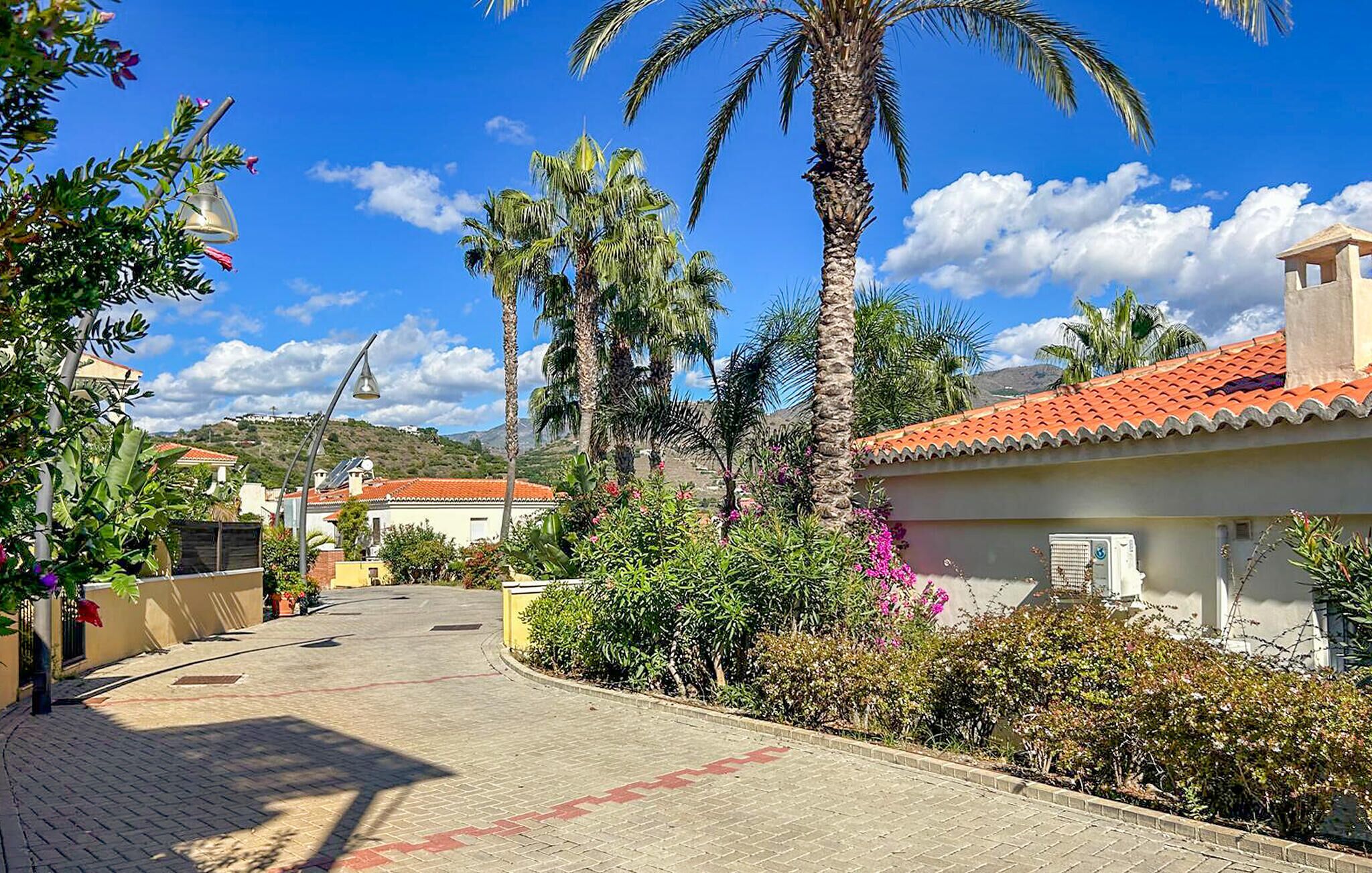 A paved pathway lined with palm trees and flowering plants, leading to a building with a red-tiled roof.