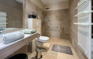 Shower, hair dryer