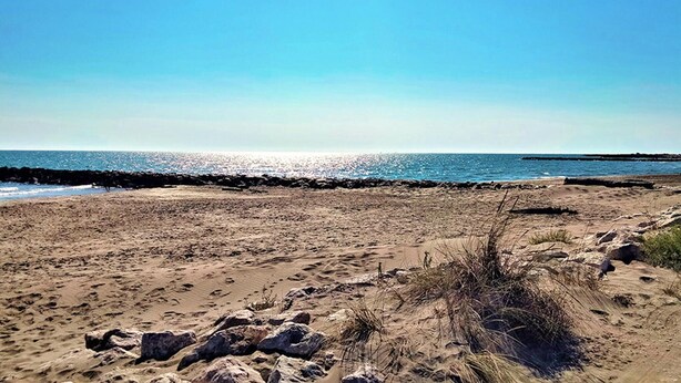 A sandy beach with rocks and sparse vegetation, leading to a calm sea under a clear sky.