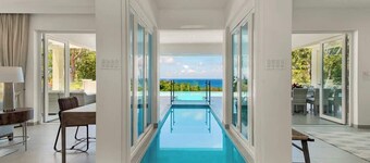 BougainVilla Summary: