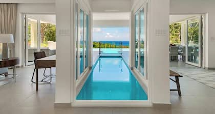 BougainVilla Summary: