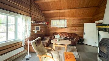 تلفزيون ذكي، مدفأة